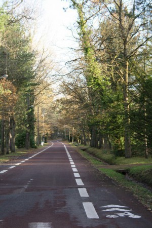Pistes cyclables sécurisées